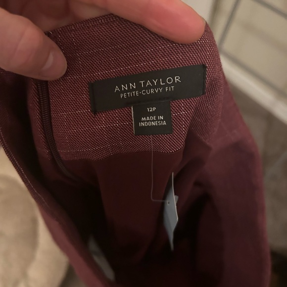 Suit set | Ann Taylor | 12 petite - Picture 6 of 6